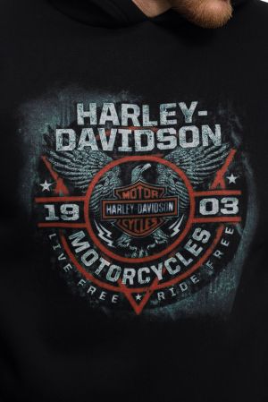 Мъжки суитшърт Харли Дейвидсън (Harley Davidson)