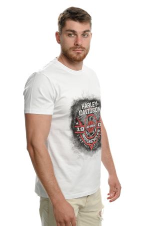 Mъжка тениска Харли Дейвидсън (Harley Davidson)