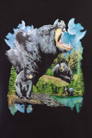 Мъжки суитшърт с Мечка