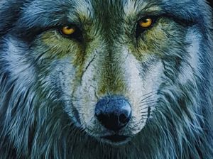 Детска тениска Вълк, Серия вълци