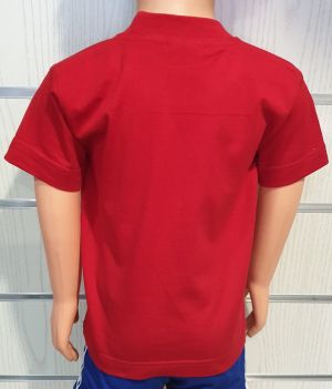 Детска тениска ANGRY BIRDS